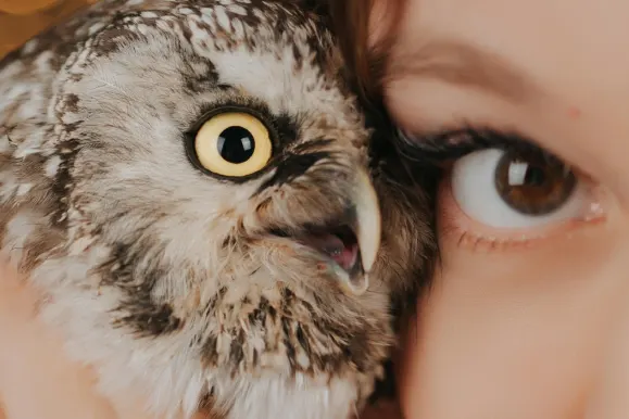 Fever Bingo Casino Support